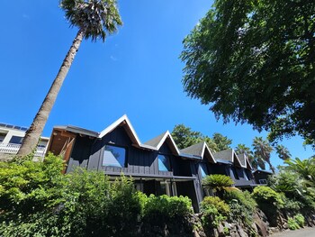 tree story pension