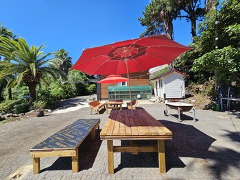 tree story pension