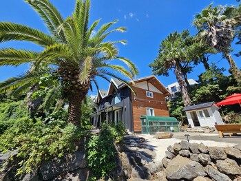 tree story pension