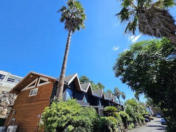 tree story pension