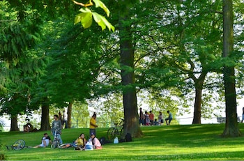 les sources vichy