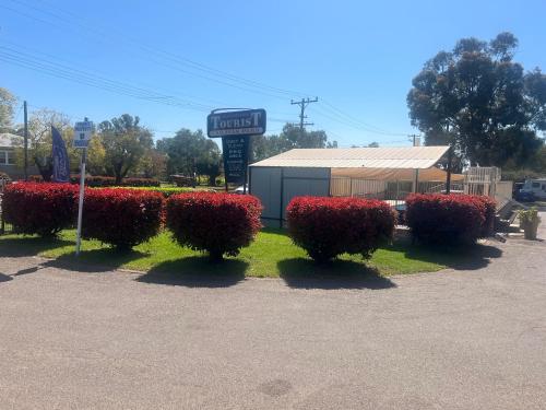 gunnedah tourist caravan park