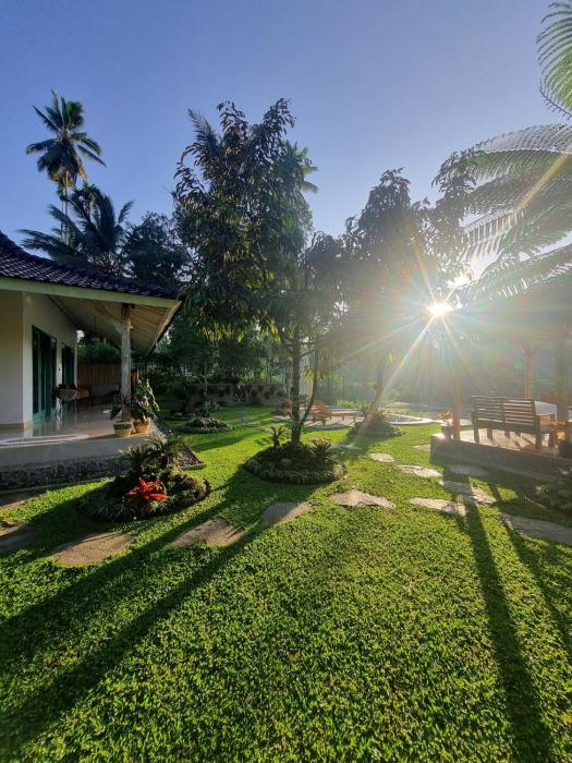 dpondok sangaji ricefield view by eps