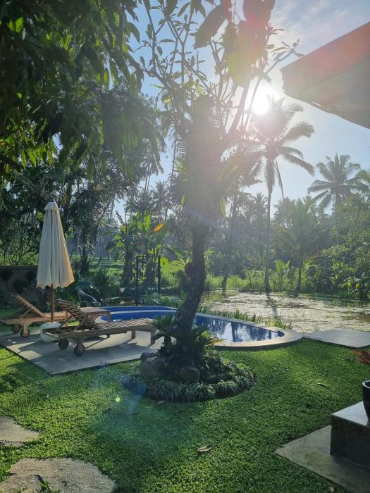 dpondok sangaji ricefield view by eps