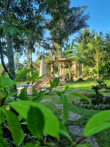 dpondok sangaji ricefield view by eps