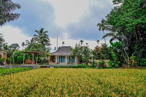dpondok sangaji ricefield view by eps