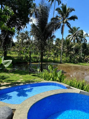 dpondok sangaji ricefield view by eps
