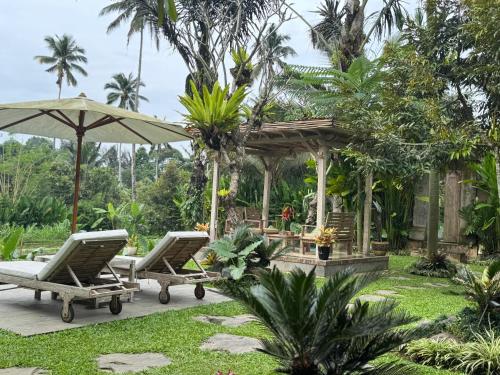 dpondok sangaji ricefield view by eps