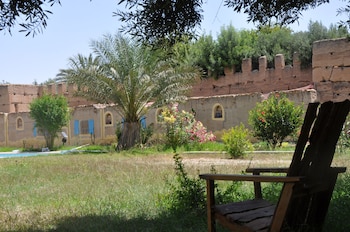 bivouac sous les palmiers bleus