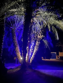 bivouac sous les palmiers bleus