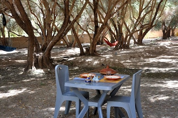 bivouac sous les palmiers bleus