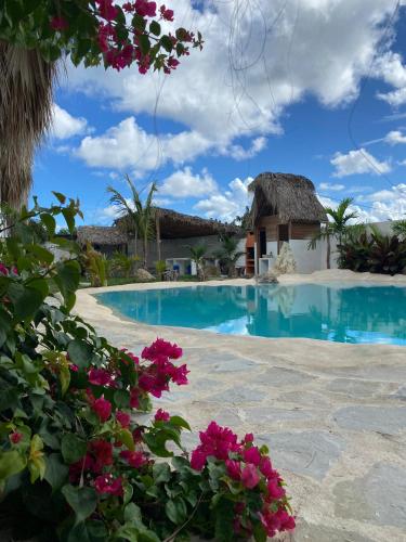 blue beach eco hotel by sanfabini