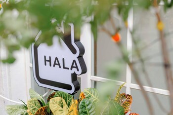 hala home