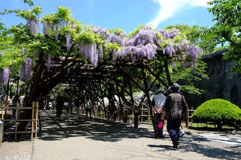 Wakamatsu Hot Spring Resort,Oshima>>Hakodate,4 star