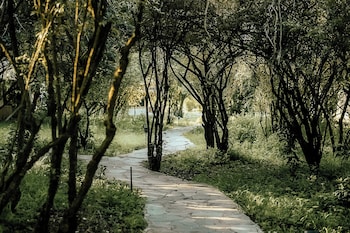 ilora retreats
