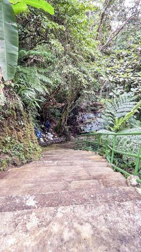vacation house in baguio