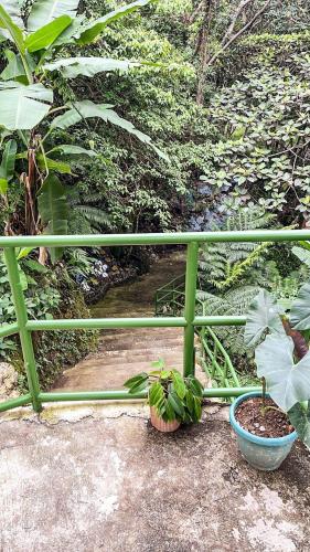 vacation house in baguio
