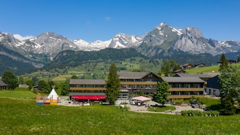 stumps alpenrose