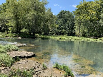 riverbend serenity cabins