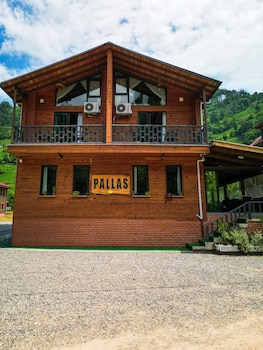 pallas suit