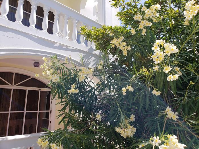 costambar beachfront stay with pool
