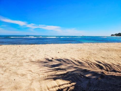 costambar beachfront stay with pool
