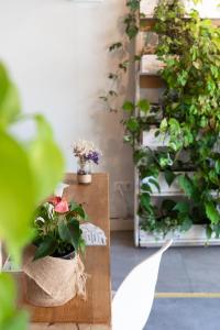 dynamic hotels caldetes barcelona