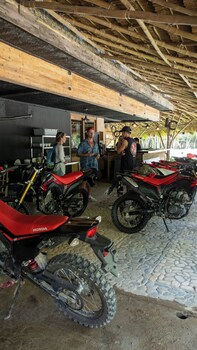 el nido