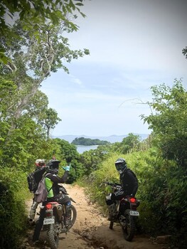 el nido