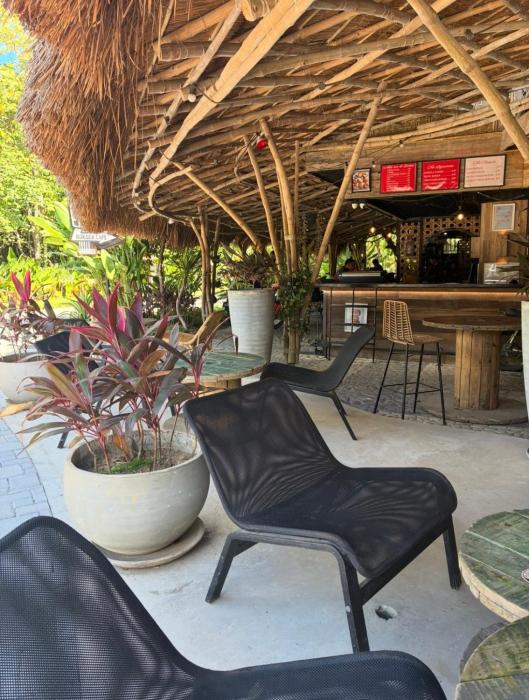 el nido