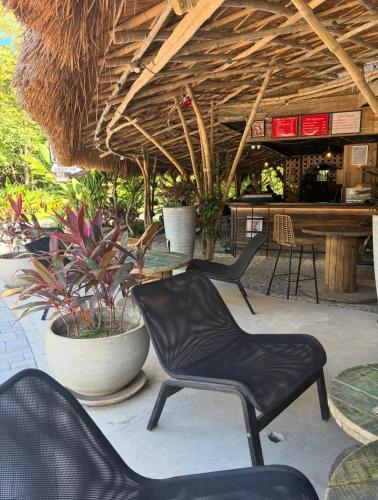 el nido