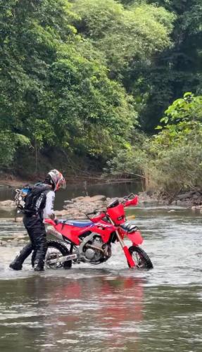 el nido
