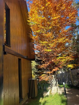 monte pine chalet 1