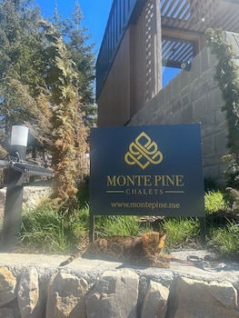 monte pine chalet 1
