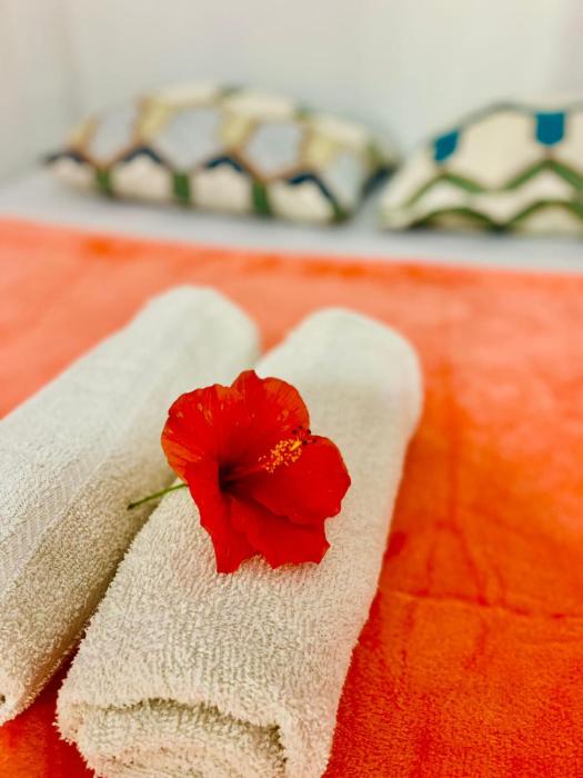 hibiscus dive inn