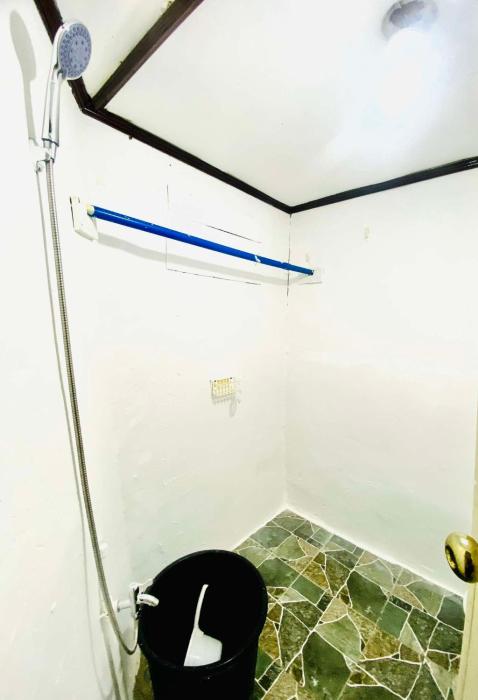 hibiscus dive inn