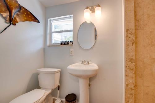 new the cottage at james house