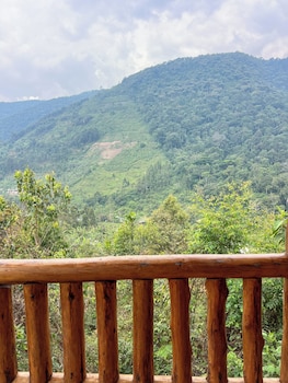 gorilla bluff lodge