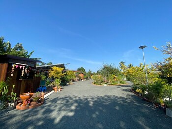 monkey cottage