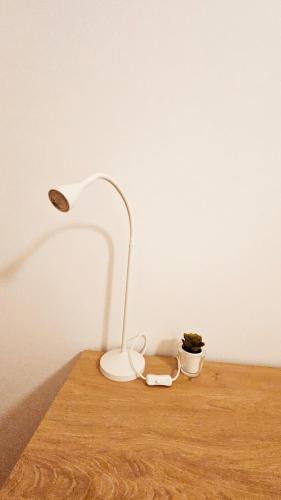 rooms4you 1 in historic center of braga