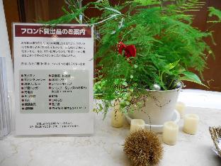 breezbay lake resort kawaguchiko