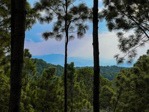 las morenas tres lunas domo