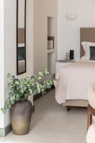 whisper athens suites