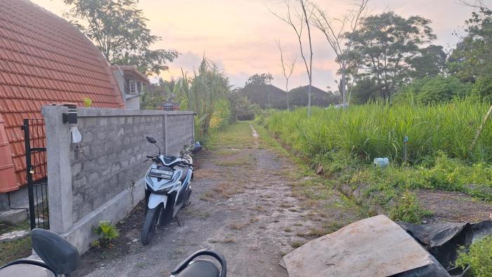 tembuku