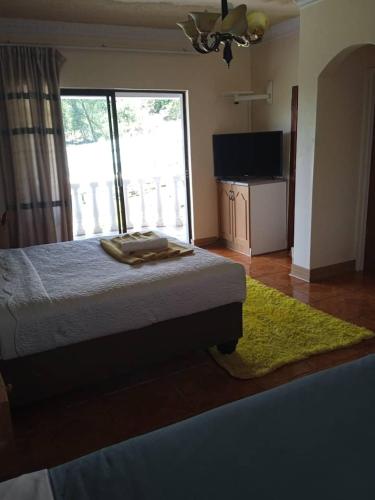 haven guesthouse nkoyoyo