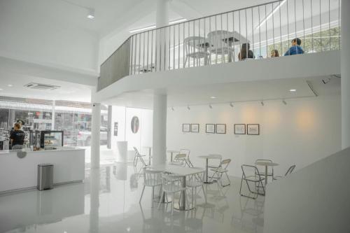 scenario cafe and hostel