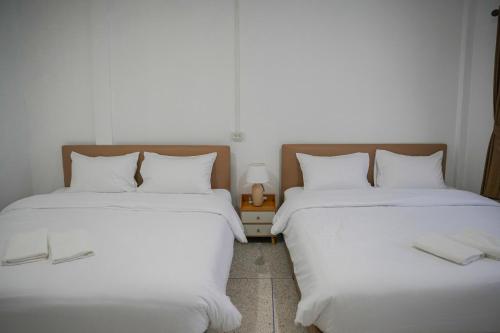 scenario cafe and hostel