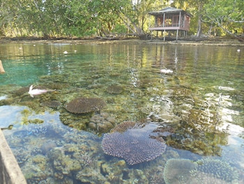 leleana resort kolombangara