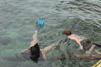 kolombangara island