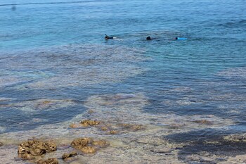 kolombangara island